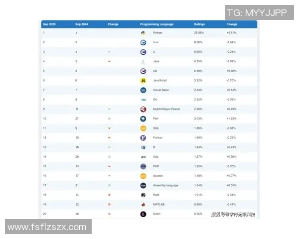 莱昂内尔梅西与世界足坛球星身价对比分析 2025年最新排行榜揭晓